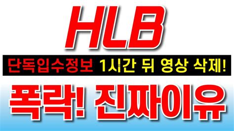 Hlb에이치엘비 하락한 이유 기관 매도 수급 이동 유한양행 영향 Fda승인 에이치엘비hlbhlb목표가 Youtube