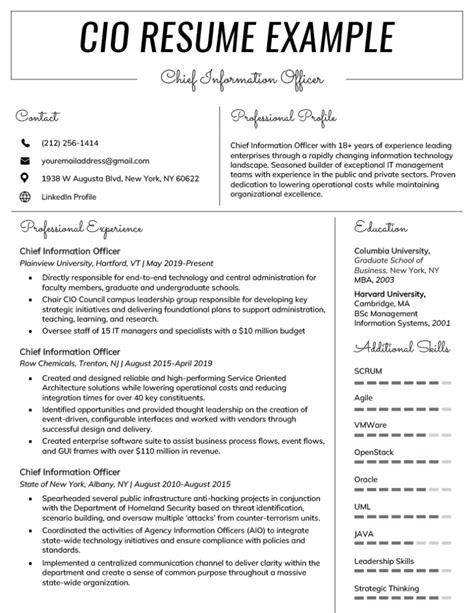 Chief Information Officer Cio Resume Example And 3 Tips