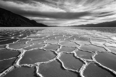 A Comprehensive Introduction To Black And White Photography