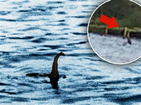 The term loch ness monster or nessie refers to a supposed creature or family of creatures believed to inhabit the scottish lake loch ness. Loch Ness Monster — Nessie Returns After Missing For Eight ...