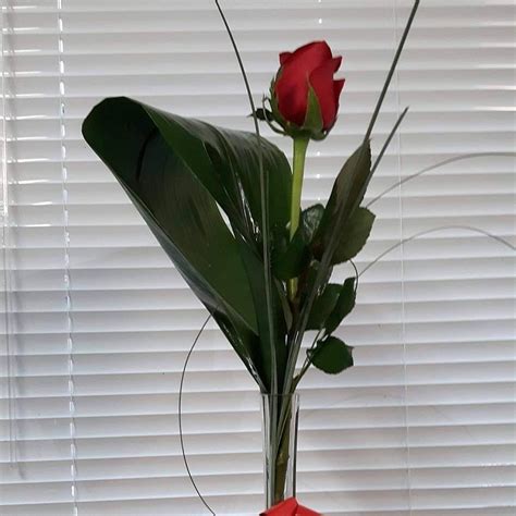 1 Single Red Rose In A Vase Simmons Florists Flower Specialist In