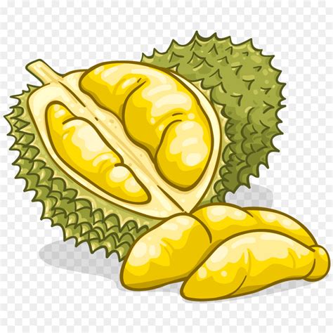 We always upload highr definition png pictures. ทุเรียน, อาหาร, กลิ่นอยู่ png - png ทุเรียน, อาหาร, กลิ่น ...