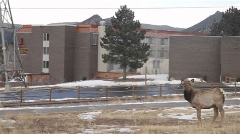 The ridgeline hotel is located minutes from downtown estes park. Rocky Mountain Park Inn in Estes Park, Colorado - YouTube