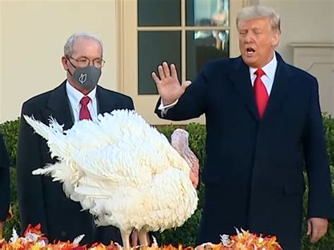 watch president trump holds national thanksgiving turkey pardoning ceremony video