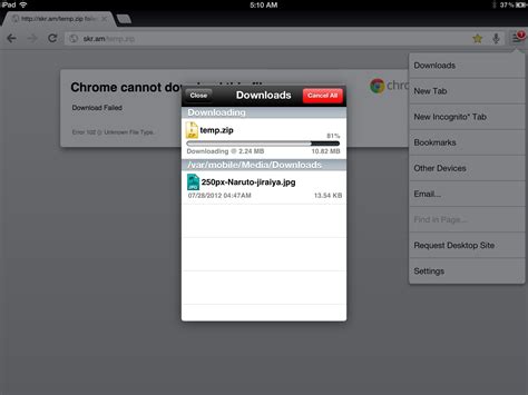 Antdm supports downloading files from the. chrome download manager iPad