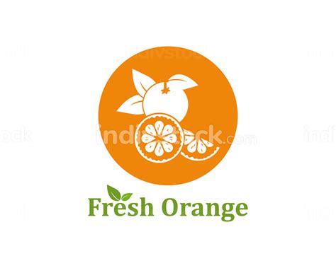 Orange Fruit Icon Vector Logo Illustration Indivstock