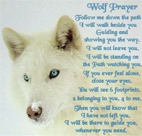 Wolf Prayer Wolf Spirit Wolf Spirit Animal Wolf Quotes