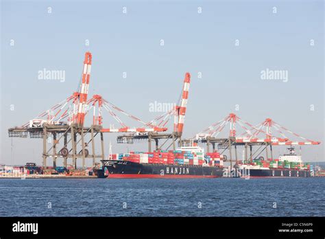 Container Ships Are Loaded At The Maher Terminals Container Terminal In