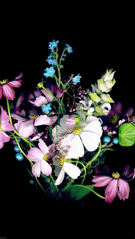 Iphone 5 5c 5s Wallpaper Flower Bouquet In Dark