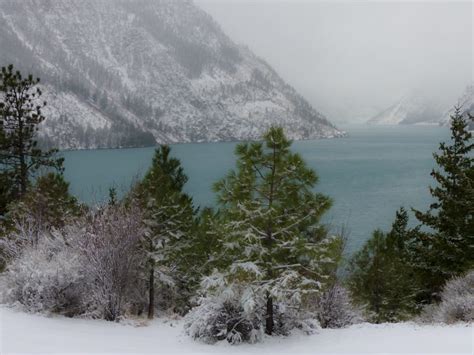 Green Trees Surrounded By Snow Near Body Of Water Free Image Peakpx