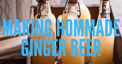 How To Brew Ginger Beer How To Home Brew Beer