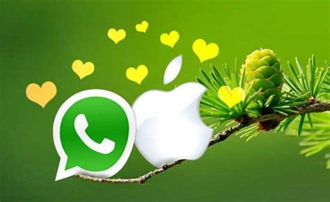 Whatsapp For Mac Os Desktop