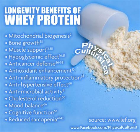 Benefits Of Whey Protein Powder