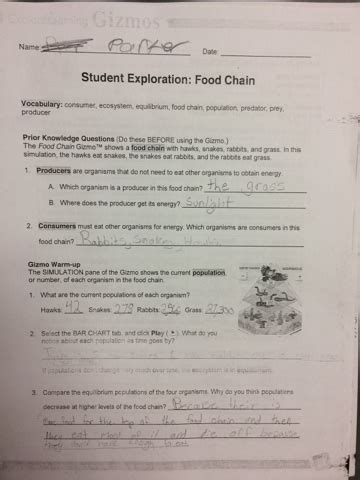 Gizmos food chain worksheet answers. Food Chain Gizmo