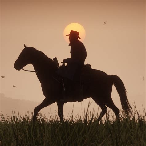 Red Dead Redemption 2 Pfp