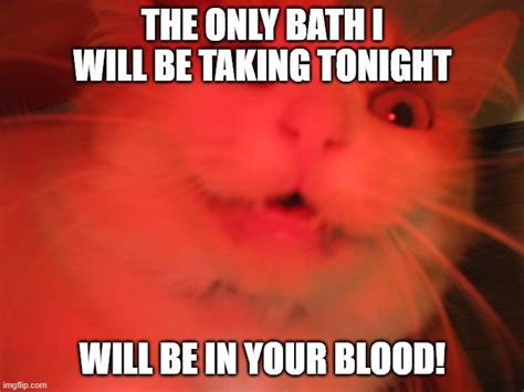 Image Tagged In Demon Catrevengevengeanceevil Catangerfunny Cats