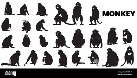 A Set Of Silhouette Monkey Vector Illustration Stock Vector Image And Art