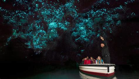 Waitomo Glowworm Caves Offering Free Tickets You Just Need To Bring An