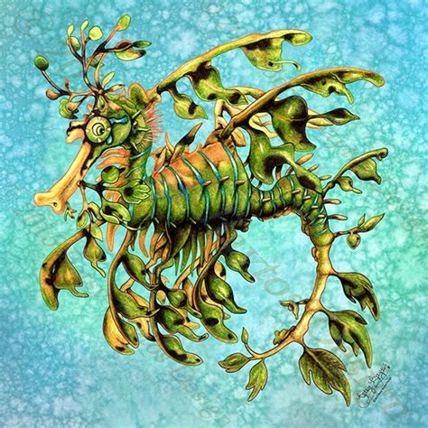 Art Tile Leafy Sea Dragon Original Illustrated 8 X 8 Sea Etsy