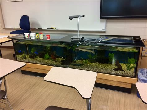 Science Teachers Desk Is A Fish Tank Mildlyinteresting