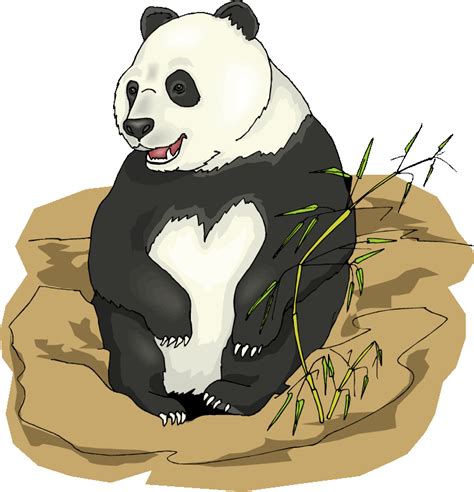 Clipart Panda Mammal Clipart Panda Mammal Transparent Free For