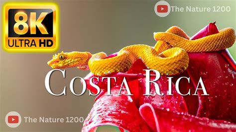 Costa Rica In 8k Hdr 60fps Ultra Hd Discover Paradises Vibrant Beauty