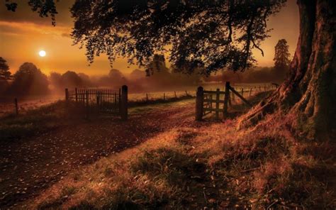 Nature Landscapes Roads Fields Path Fence Gate Trees Grass