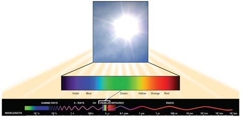 Spectrums Of Light Biology For Majors I