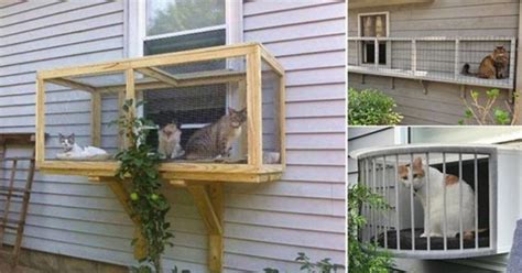 Screened Cat Patios ‘catios Are A Great Way To Keep Your Cats Safe