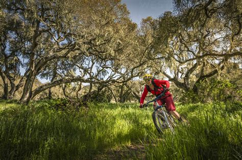 Woman Riding Mountainbike On Forest Track Fort Ord National Monument