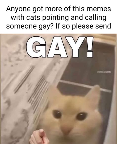 Anyone Got More Of This Memes With Cats Pointing And Calling Someone