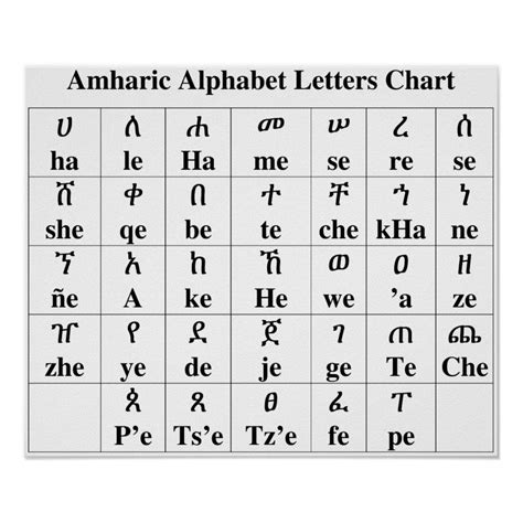 Amharic Alphabet Letters Chart 33 Degree Poster Zazzle Alphabet