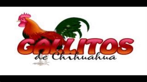 Los Gallitos De Chihuahua Ven A Mis Brazos2014 Youtube