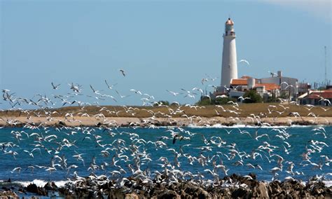 (warum weiss ich eigentlich nicht). A guide to Montevideo, Uruguay: How + when to travel | UPSCAPE
