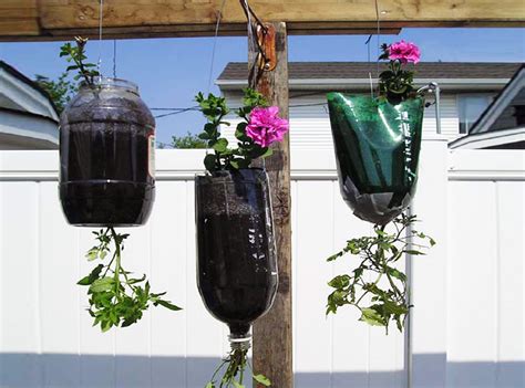 How To Make A Hanging Planter With A Recycled Plastic Soda Bottle