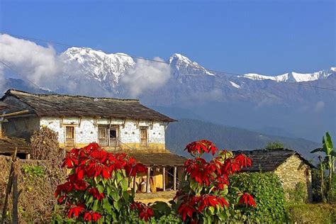 Dhampus Trek From Pokhara Pokhara Nepal Lonely Planet