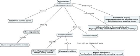 Causes Of Hypocalcemia Differential Diagnosis Algorithm Grepmed