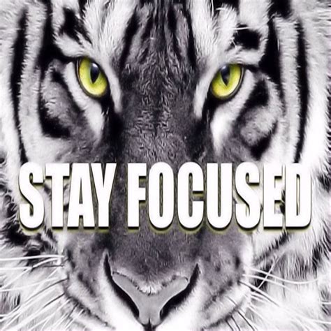 Working several hours straight will exhaust you eventually, making it really hard to stay. Stay Focused Pictures, Photos, and Images for Facebook ...
