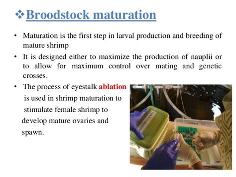 Broodstock Nd Hatchery Management