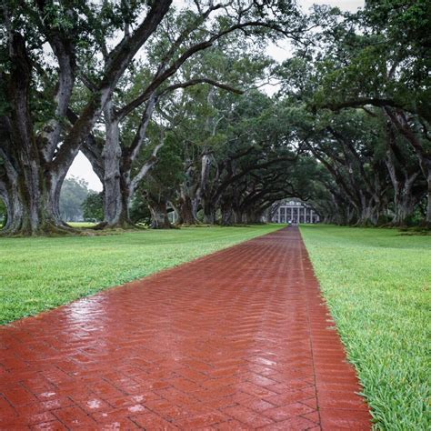 Maybe you would like to learn more about one of these? Visiting Oak Alley Plantation near New Orleans - Red Shoes ...