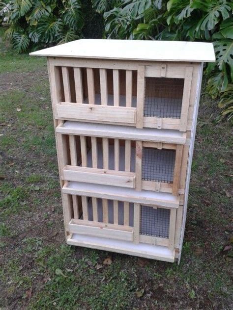 Cage for quails unfortunately, sold for parrots, canaries, the cells will not work. Quail cages … | Chickens backyard, Diy chicken coop, Chicken cages