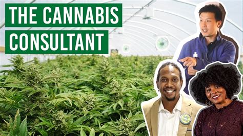 How To Find A Good Cannabis Consultant Youtube