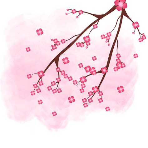 Sakura Cherry Blossom Png Image Spring Sakura Branch With Falling