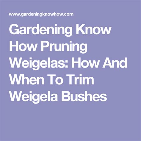 Gardening Know How Pruning Weigelas How And When To Trim Weigela