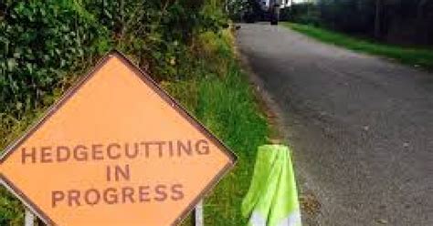 A man in his 60s has died and three people have been seriously injured in a road crash in co sligo, while two other people have died in separate road accidents in co wicklow. Hedge scheme's appeal 'growing' | Southern Star