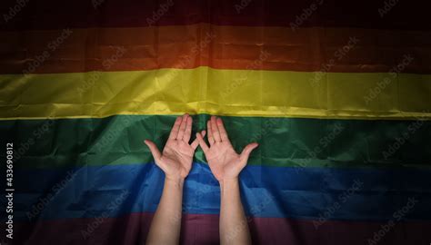 Lgbtq Pride Flag Lesbian Gay Bi Sexsual Transgender Queer Homosexsual