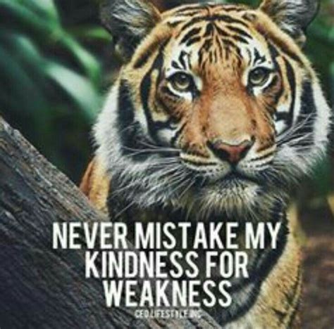 Tiger Quotes Lion Quotes Wolf Quotes Wisdom Quotes Inspirational