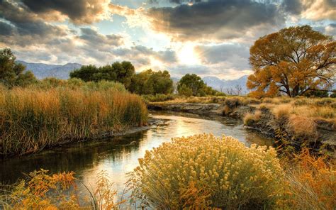 Autumn Scenery Nature Yellow Grass River Trees Clouds Wallpaper Nature And Landscape
