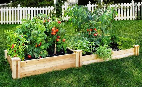 How To Build Raised Vegetable Garden Boxes Learn How To