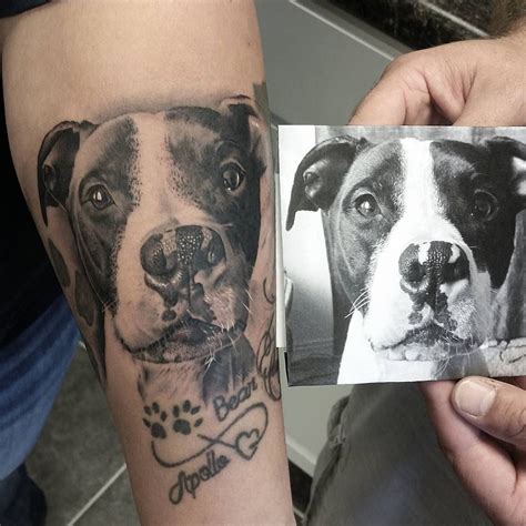 Dog Tattoos Dog Paw Tattoo Dog Portrait Tattoo